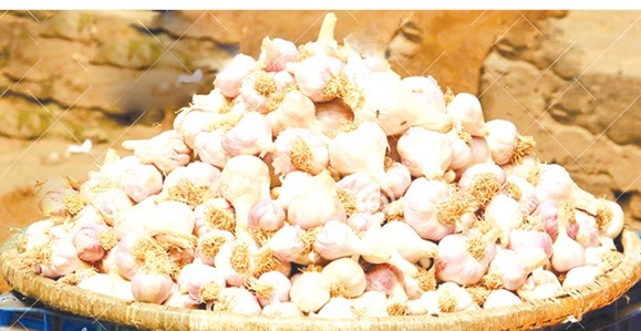 traders-raising-price-of-garlic-artificially